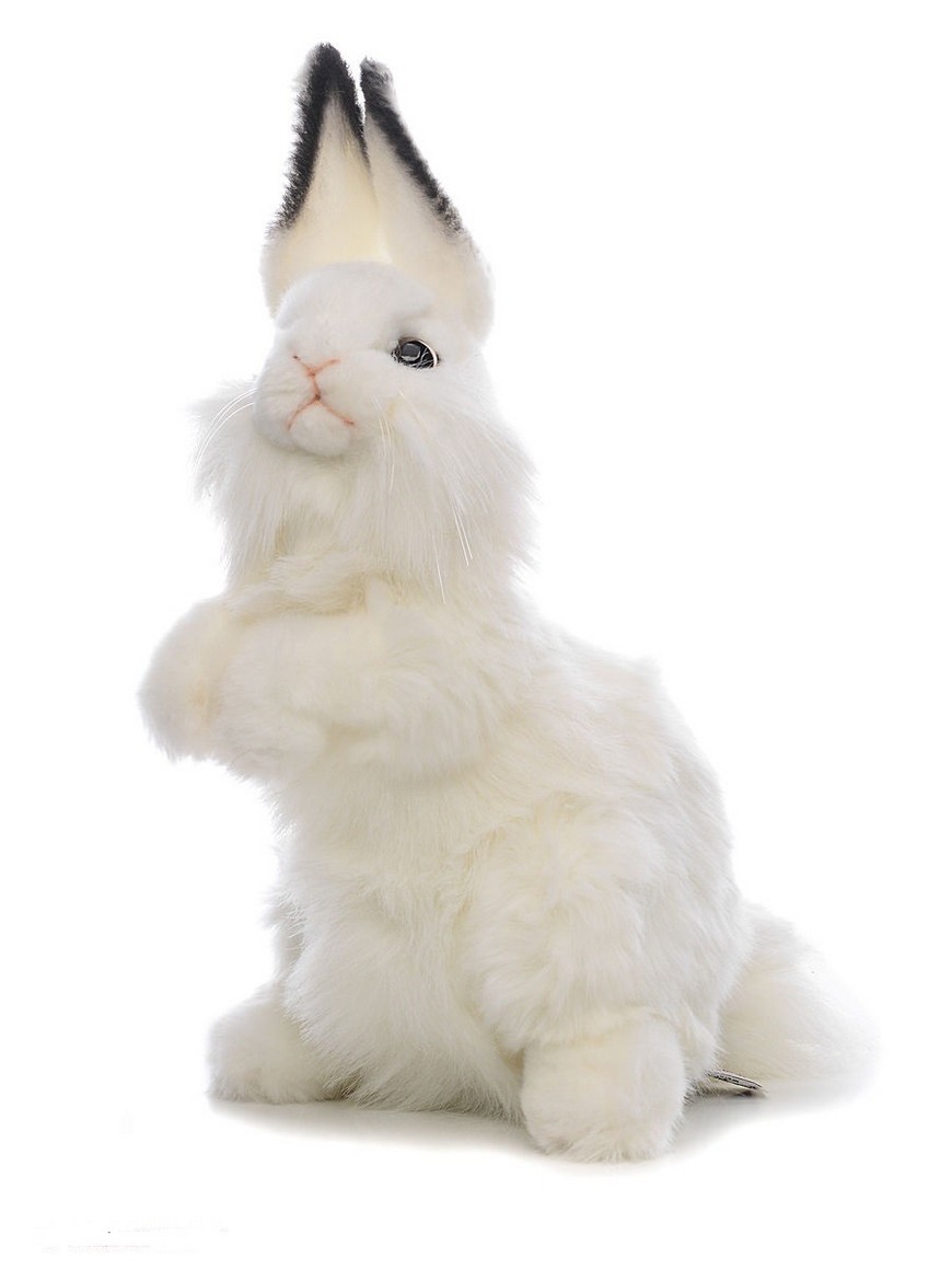 Летающий Белый Кролик Купить В Москве