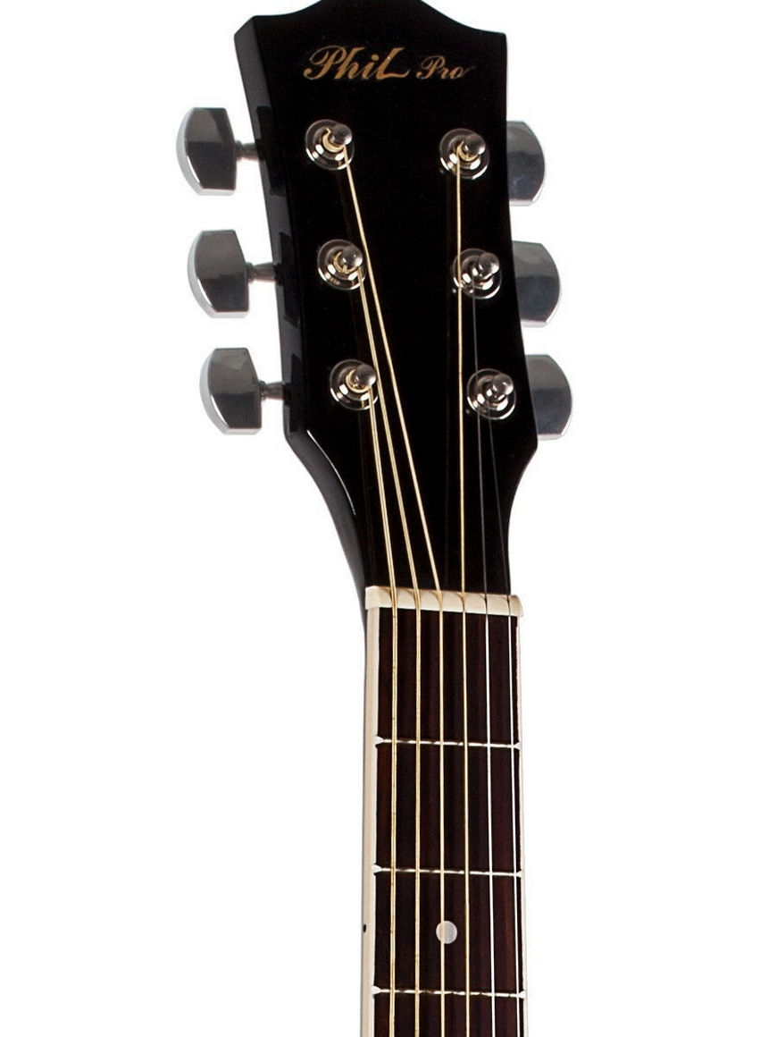 Phil pro гитара акустическая. Washburn wa30. Washburn wa20.