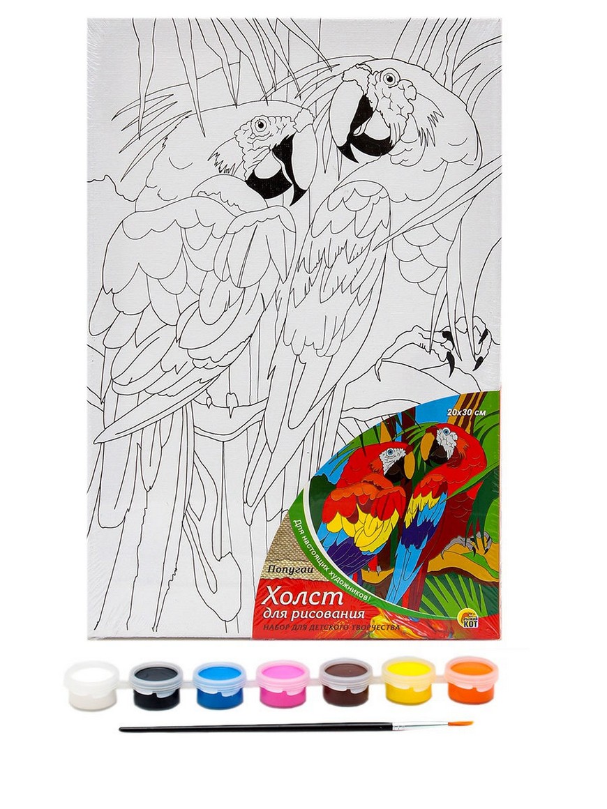Рыжий кот. Набор для рисования с красками 20х30 см. попугаи