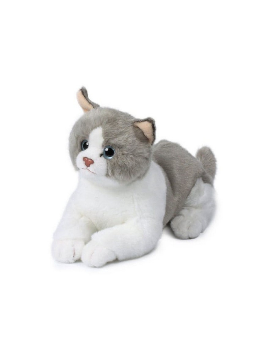 Anna club. Anna Club Plush игрушки кот. Anna Club Plush кот Рэгдолл серо-белый. Anna Club Plush мягкая игрушка. Мягкая игрушка Anna Club Plush кот Рэгдолл.