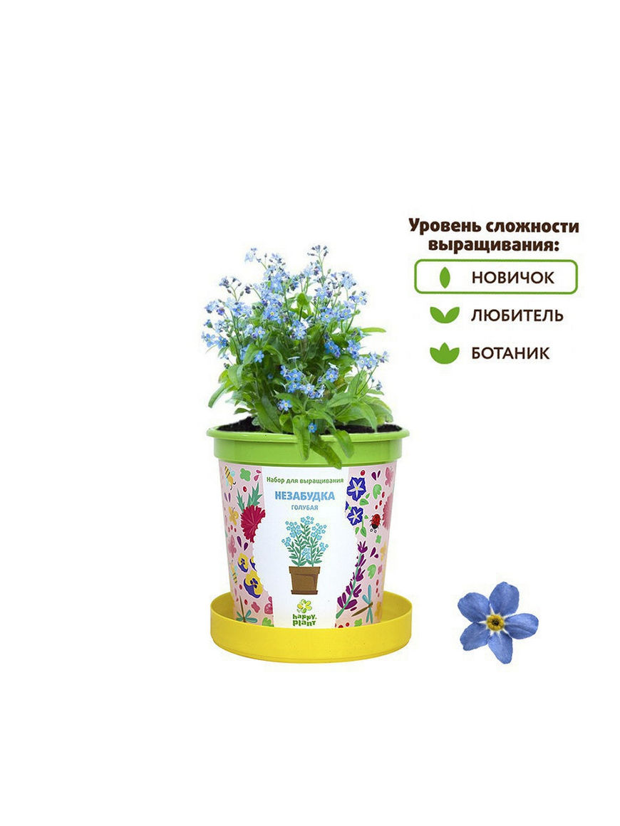 Подарочный набор для выращивания в горшке Незабудка голубая Happy Plants |  Купить с доставкой в интернет-магазине kandi.ru