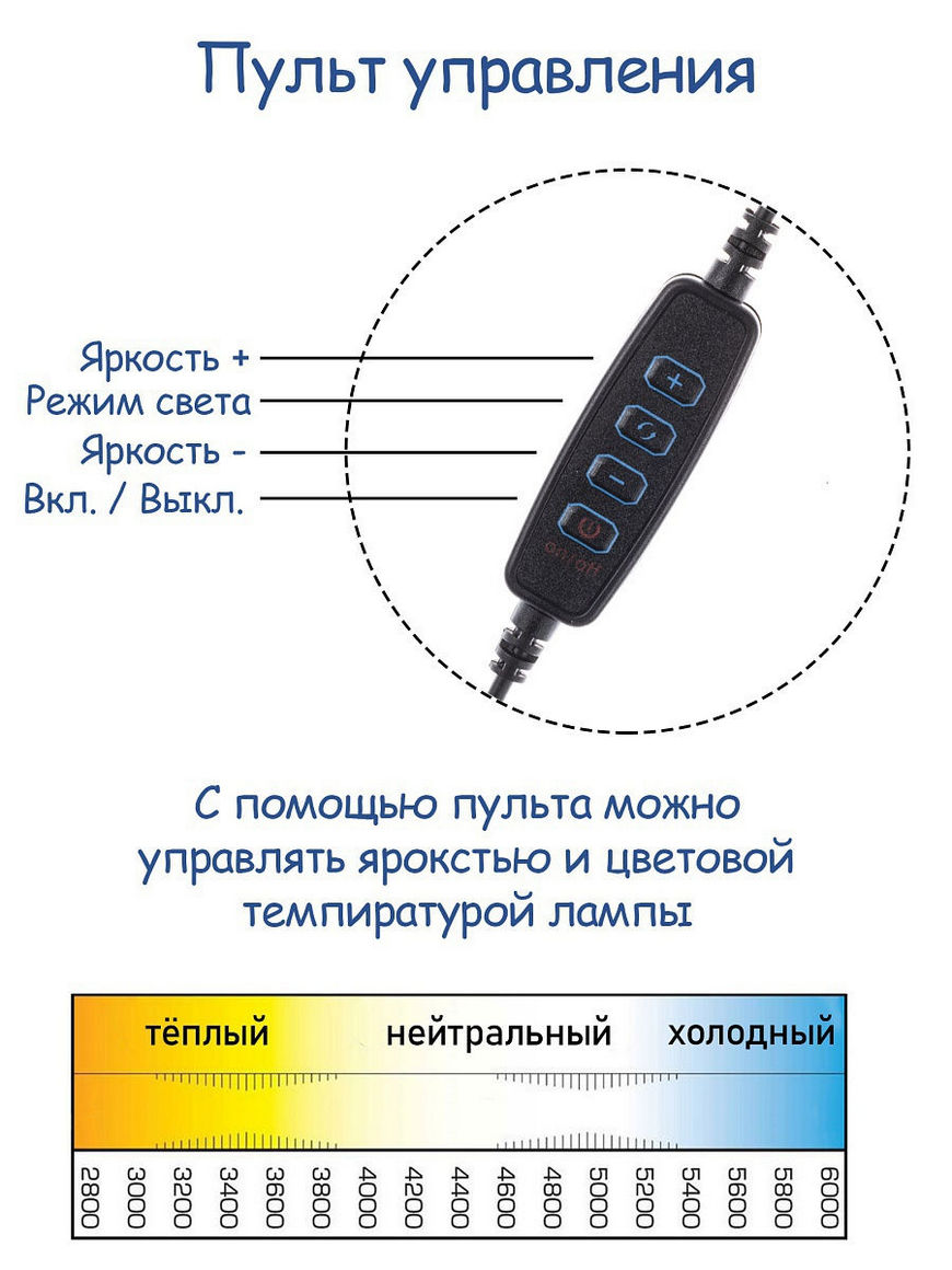 Кольцевая лампа со штативом и держателем для телефона, световое кольцо 26  см LED, для съемок селфи AMAI | Купить с доставкой в интернет-магазине  kandi.ru