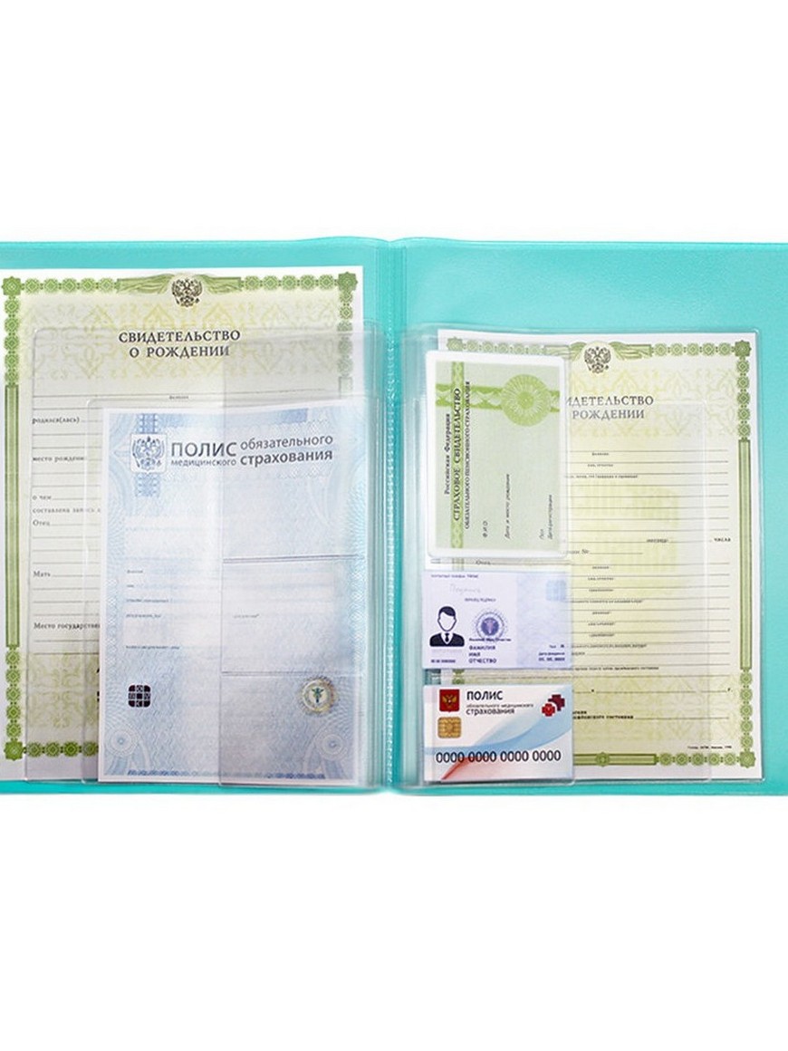 папка фолдер а4. папка органайзер для документов а4. папка для личных документов. папка для личных документов. папка для хранения семейных документов.