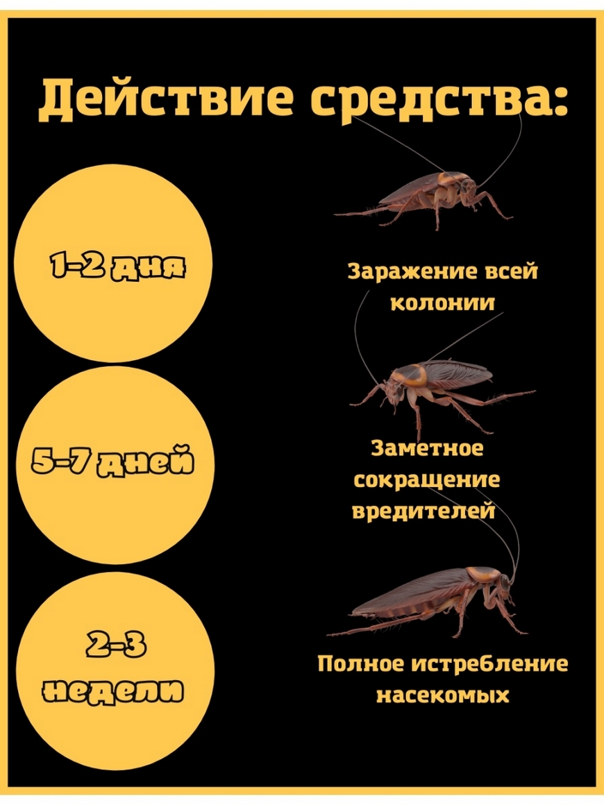 Средство от тараканов и насекомых Средство от тараканов № 1 | Купить с  доставкой в интернет-магазине kandi.ru