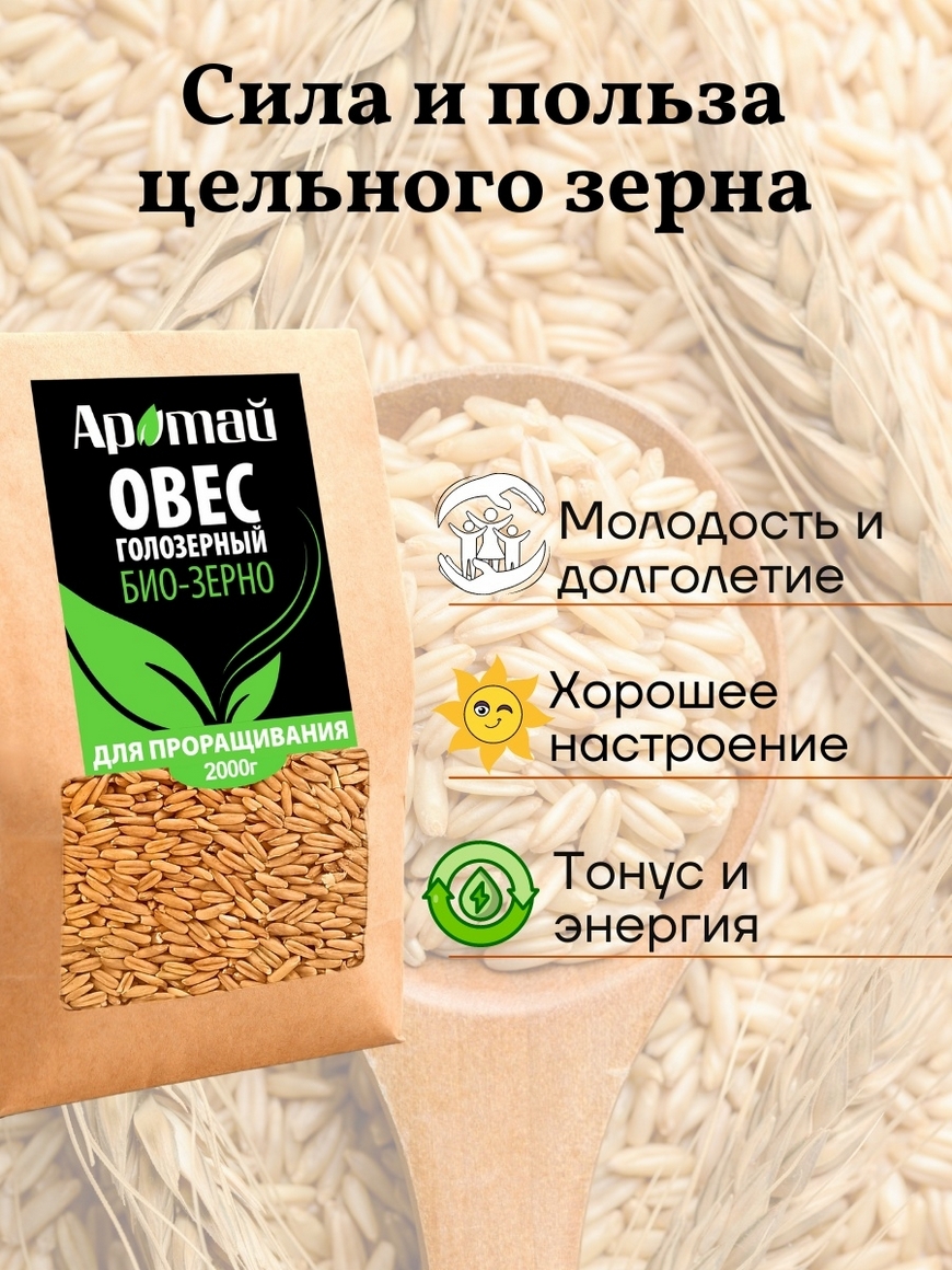 Овес голозерный, био зерно, для проращивания, крупа, фермерский, продукты  питания, микрозелень Аратай | Купить с доставкой в интернет-магазине  kandi.ru